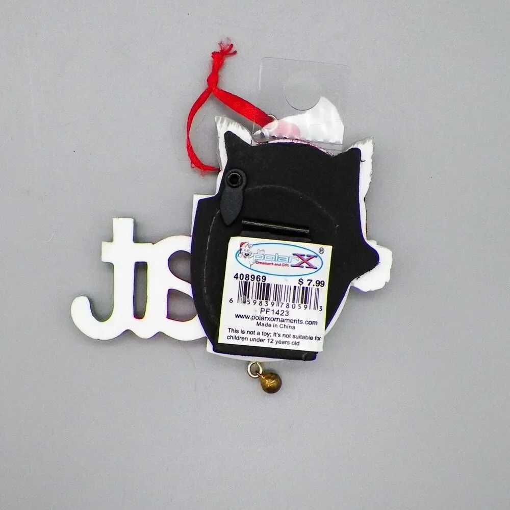 Kitty Cat Kitten Picture Frame Christmas Ornament New PolarX